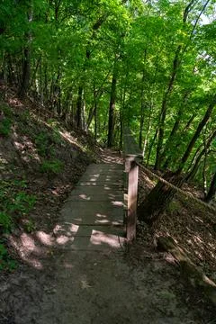 A walking path to the horizon in a local state park surrounded by lush greenery. Stock Photos