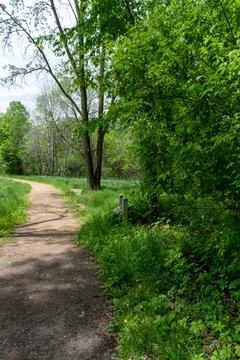 A walking path to the horizon in a local state park surrounded by lush greenery. Stock Photos