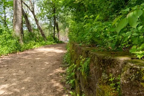 A walking path to the horizon in a local state park surrounded by lush greenery. Stock Photos