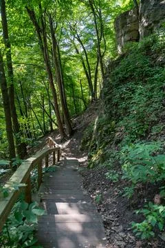 A walking path to the horizon in a local state park surrounded by lush greenery. Stock Photos