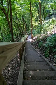 A walking path to the horizon in a local state park surrounded by lush greenery. Stock Photos