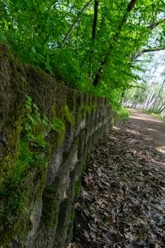 A walking path to the horizon in a local state park surrounded by lush greenery. Stock Photos