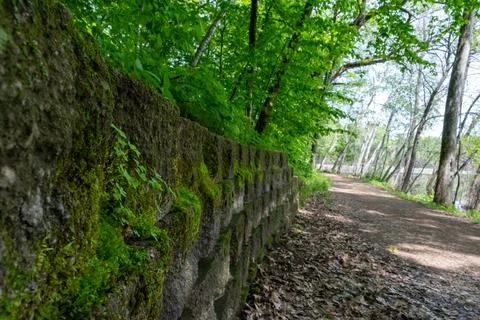 A walking path to the horizon in a local state park surrounded by lush greenery. Stock Photos