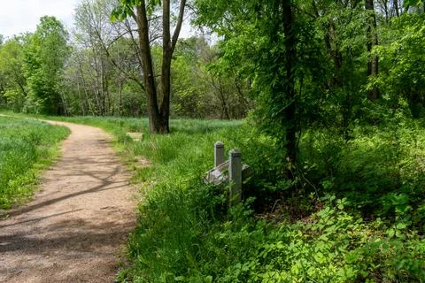 A walking path to the horizon in a local state park surrounded by lush greenery. Stock Photos