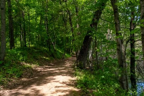A walking path to the horizon in a local state park surrounded by lush greenery. Stock Photos