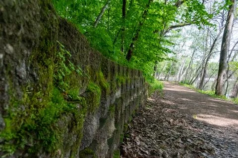 A walking path to the horizon in a local state park surrounded by lush greenery. Stock Photos