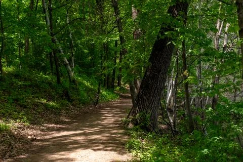 A walking path to the horizon in a local state park surrounded by lush greenery. Stock Photos