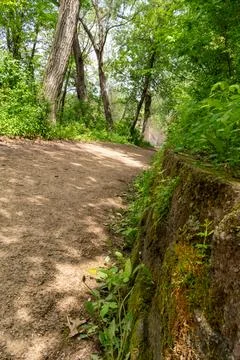 A walking path to the horizon in a local state park surrounded by lush greenery. Stock Photos
