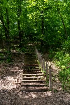 A walking path to the horizon in a local state park surrounded by lush greenery. Stock Photos