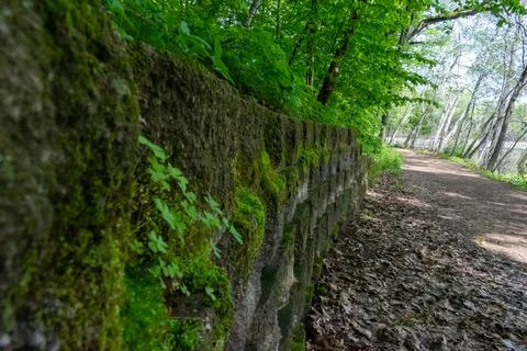 A walking path to the horizon in a local state park surrounded by lush greenery. Stock Photos