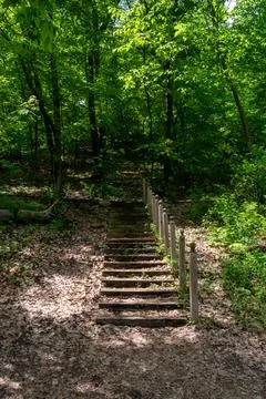 A walking path to the horizon in a local state park surrounded by lush greenery. Foto stock