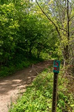 A walking path to the horizon in a local state park surrounded by lush greenery. Stock Photos