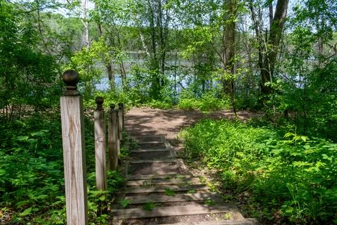 A walking path to the horizon in a local state park surrounded by lush greenery. Stock Photos