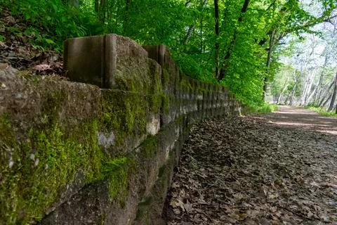 A walking path to the horizon in a local state park surrounded by lush greenery. Stock Photos