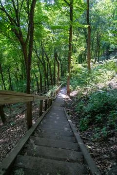 A walking path to the horizon in a local state park surrounded by lush greenery. Stock Photos