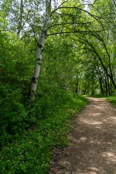 A walking path to the horizon in a local state park surrounded by lush greenery. Stock Photos