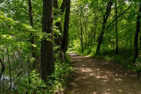 A walking path to the horizon in a local state park surrounded by lush greenery. Stock Photos