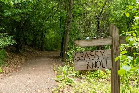 A walking path to the horizon in a local state park surrounded by lush greenery. Stock Photos