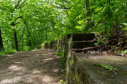 A walking path to the horizon in a local state park surrounded by lush greenery. Stock Photos
