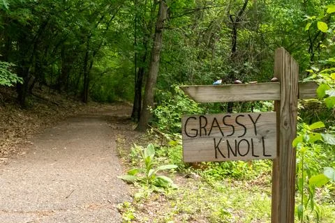 A walking path to the horizon in a local state park surrounded by lush greenery. Stock Photos