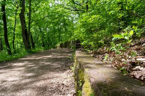 A walking path to the horizon in a local state park surrounded by lush greenery. Stock Photos