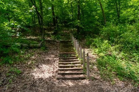 A walking path to the horizon in a local state park surrounded by lush greenery. Stock Photos