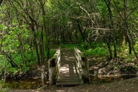 A walking path to the horizon in a local state park surrounded by lush greenery. Stock Photos