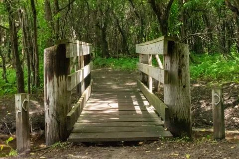 A walking path to the horizon in a local state park surrounded by lush greenery. Stock Photos