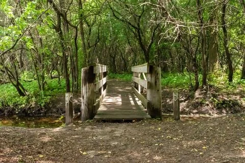 A walking path to the horizon in a local state park surrounded by lush greenery. Stock Photos