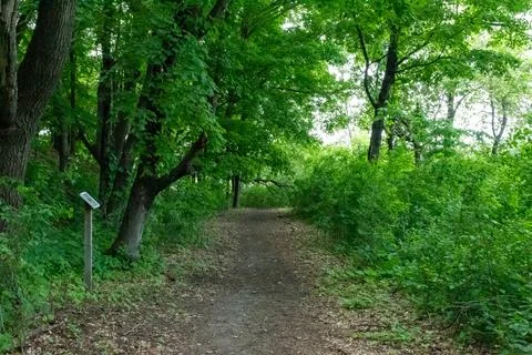 A walking path to the horizon in a local state park surrounded by lush greenery. Stock Photos