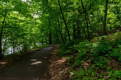 A walking path to the horizon in a local state park surrounded by lush greenery. Stock Photos