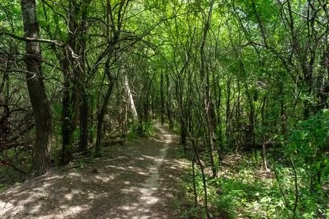 A walking path to the horizon in a local state park surrounded by lush greenery. Stock Photos