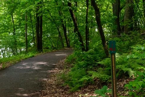 A walking path to the horizon in a local state park surrounded by lush greenery. Stock Photos