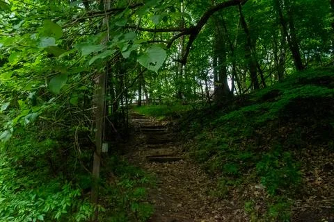 A walking path to the horizon in a local state park surrounded by lush greenery. Stock Photos