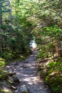 A walking path to the horizon on a White Mountain National Forest hiking trail. Stock Photos
