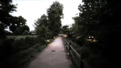 Walking path illuminated by garden lights at night. Stock Footage 337570513