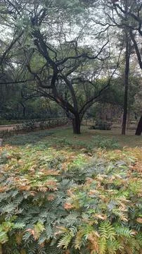 Walking Path inside Hauz Khas Park in New Delhi, India Stock Photos