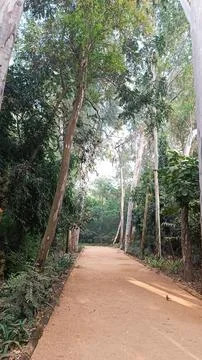 Walking Path inside Hauz Khas Park in New Delhi, India Stock Photos
