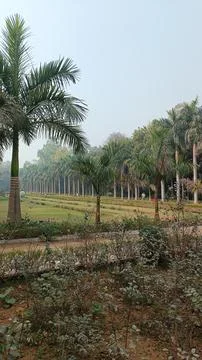 Walking Path inside Hauz Khas Park in New Delhi, India Stock Photos