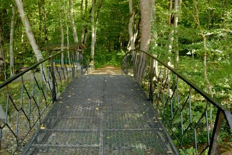 Walking path on the iron bridge through the forest strewn with many paths. Small Photos
