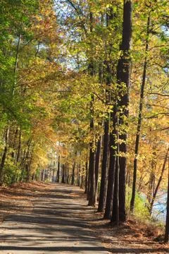 Walking path in Lake johnson park of Raleigh, NC Stock Photos