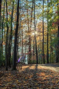 Walking path in Lake johnson park of Raleigh, NC Stock Photos