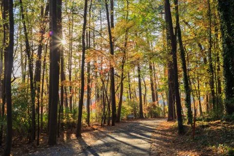 Walking path in Lake johnson park of Raleigh, NC Stock Photos
