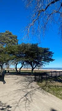 Walking path by the lake with trees and blue sky on a clear day Stock Photos