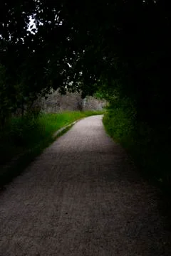A walking path leading into light in a dark forest. Stock Photos