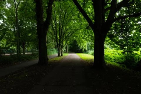 A walking path with lights and shadow in a public park Stock Photos