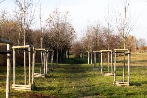 Walking path lined with wooden frames and trees in a peaceful landscape Stock Photos