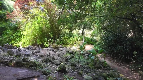 Walking path Lisbon park with green trees summer sunshine European travel archit Stock Footage 318024370