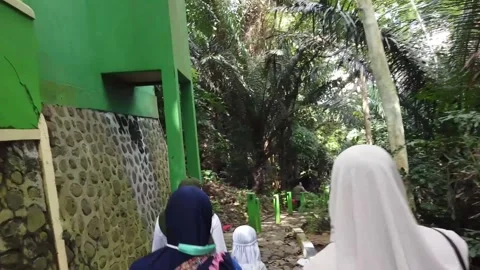 Walking Path in Lush Green Forest Stock-Footage 280062271