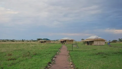 Walking path with luxury glamping canvas tents in camping ground in safari Video stock 307720627